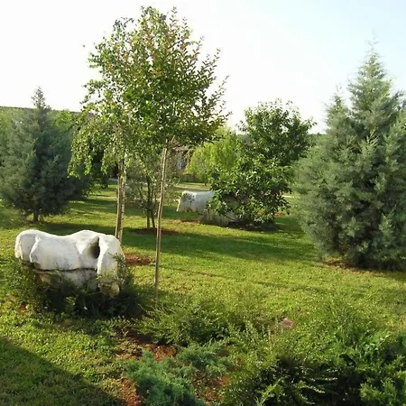 Melisa 6 By Interhome * Poreč
