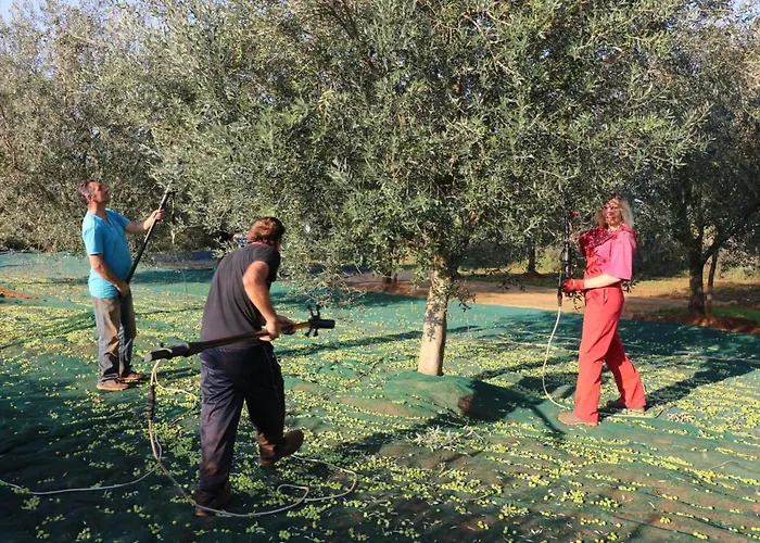 Vikendica Melisa 6 By Interhome *