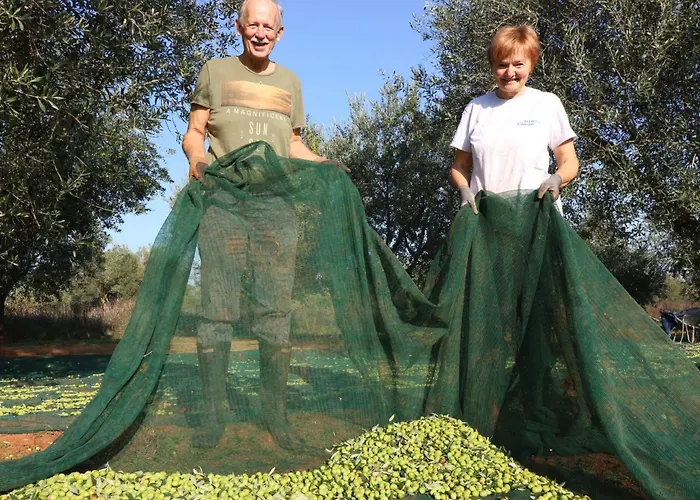 Melisa 6 By Interhome Porec